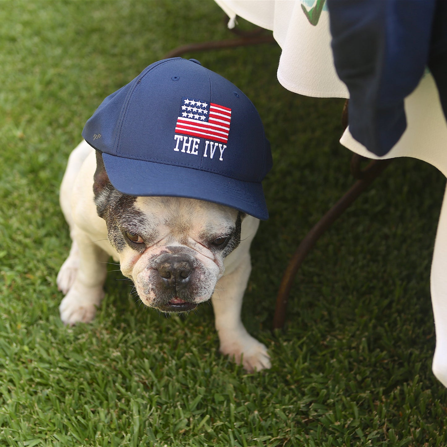 The Ivy Flag Cap